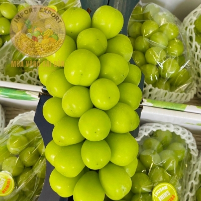 Nho Mẫu Đơn Shine Muscat Nhật Bản
