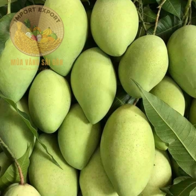 Xoài Cát Hòa Lộc Cao Cấp