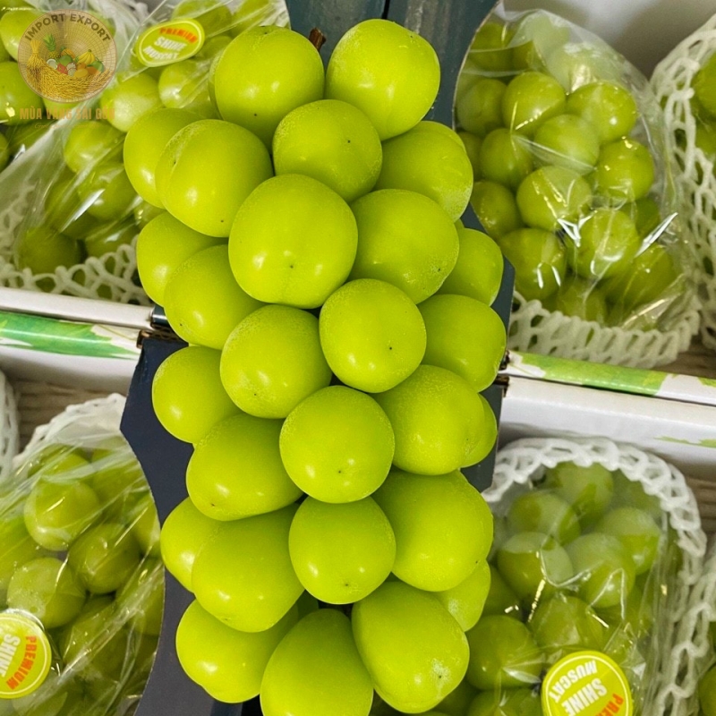 Nho Mẫu Đơn Shine Muscat Nhật Bản