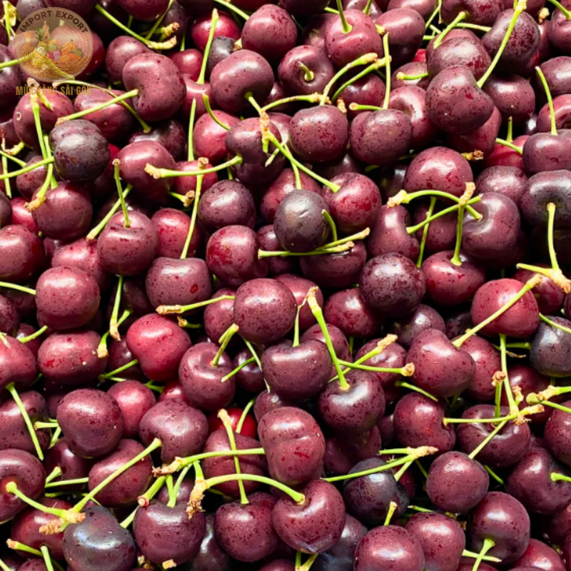Cherry Đỏ Úc (Sizing Thượng Hạng)